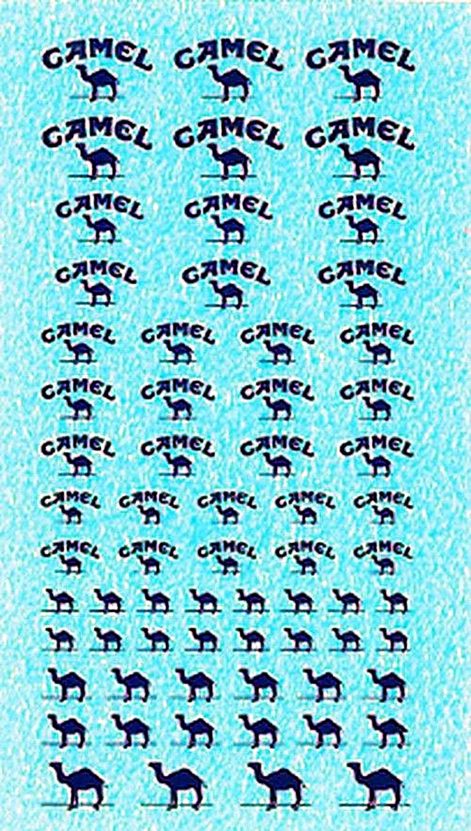 Decal assortita Camel