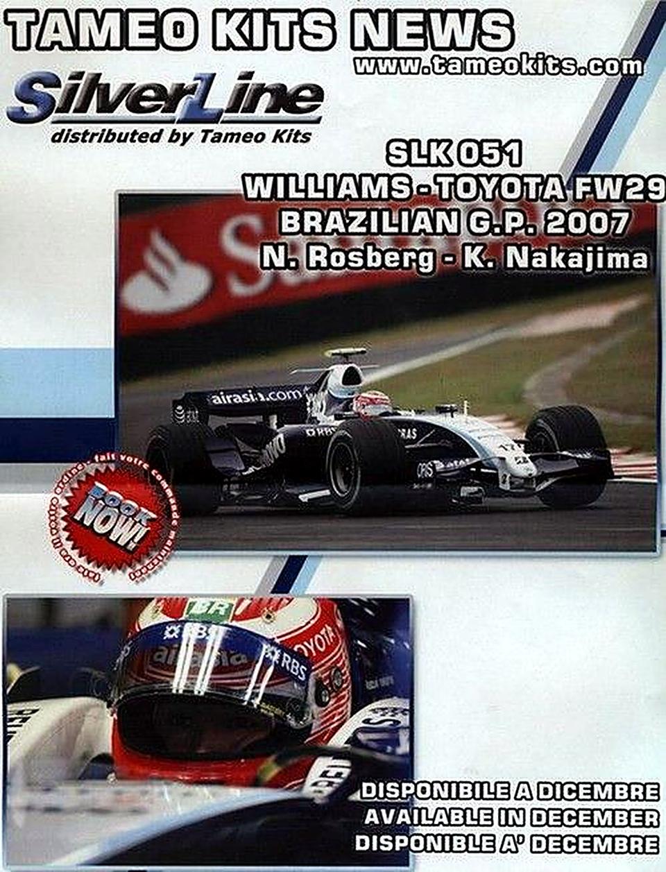 Williams Toyota FW29 Brasilian G.P. 2007